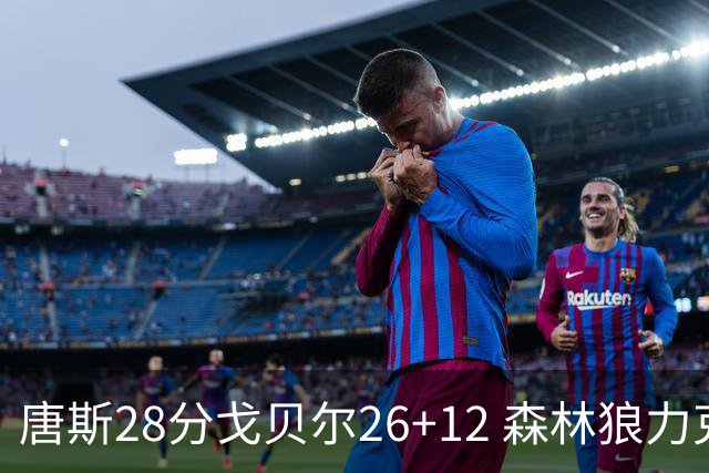 唐斯28分戈贝尔26+12 森林狼力克黄蜂4连胜